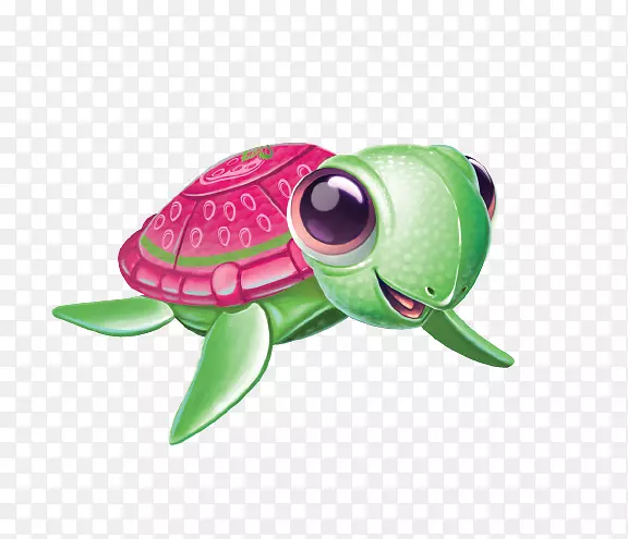 海龟狗鼠宠物粉红龟