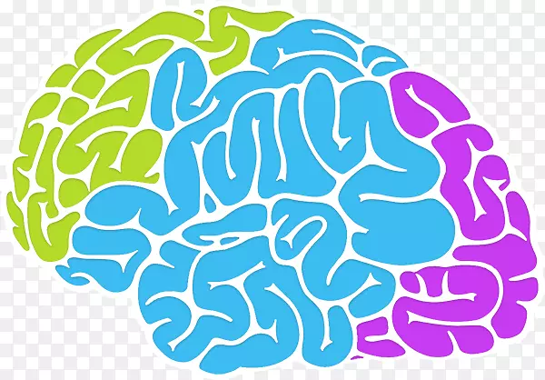 脑智能神经科学记忆认知智能脑