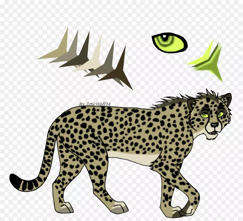 猎豹，豹须，猫科动物-猎豹