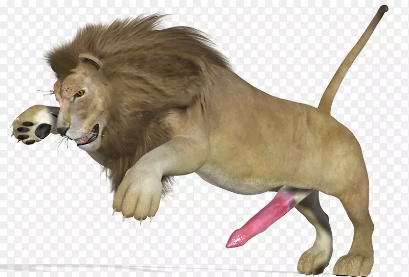 狮子大猫电脑图标动物狮子