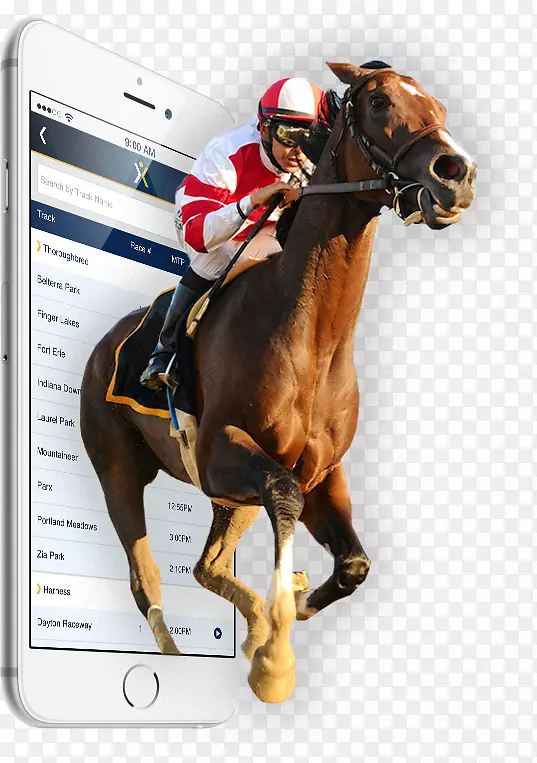 赛马Xpress Bet Inc.马术骑师-马匹