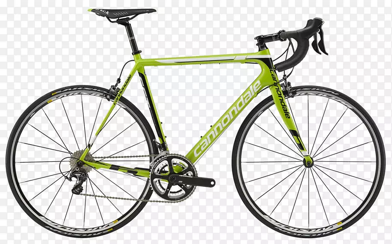 巨型自行车巨人Glenelg Lygon自行车-巨型赛车-城市道路
