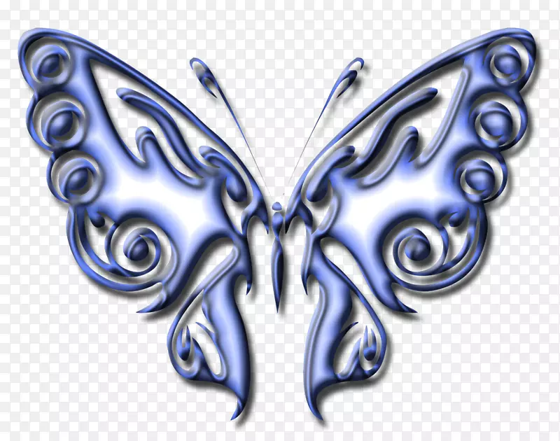 蝴蝶翅膀对称2米蝴蝶和蛾.蝴蝶