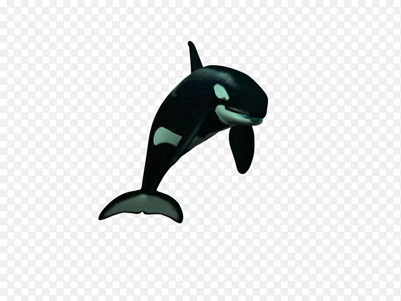 海豚虎鲸