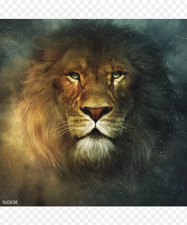 艺术狮子画海报-狮子