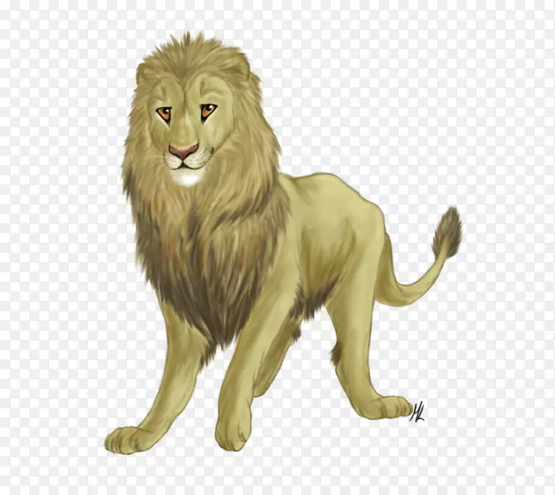 狮子大猫吼陆生动物-阿斯兰