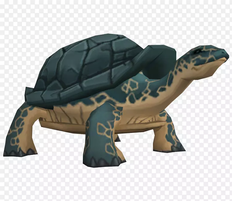 海龟池塘龟陆生动物-卡通模型
