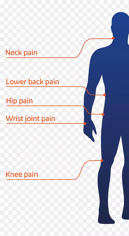 脊椎肩部腕痛臀部髋关节疼痛膝关节疼痛