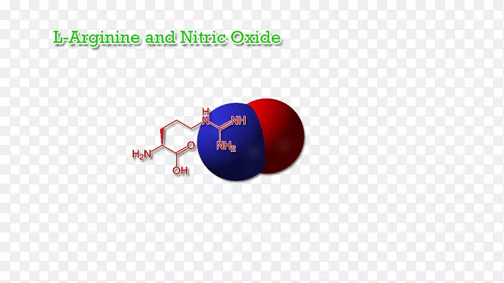 一氧化氮精氨酸二氧化氮瓜氨酸一氧化氮