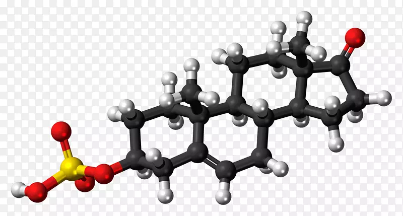十一酸睾酮合成类固醇胆固醇分子-肾上腺功能不全