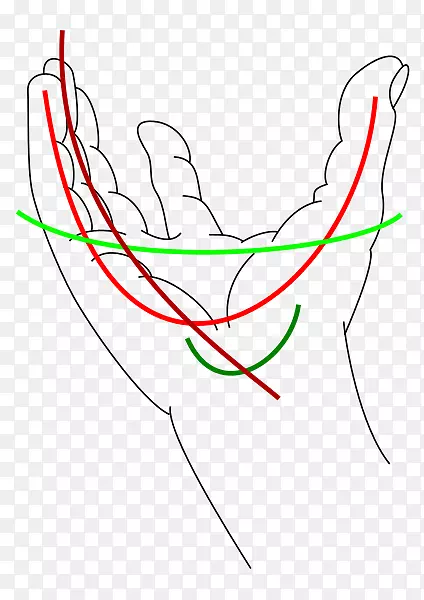 颈痛、关节疼痛、手部疼痛管理.手部结构解剖