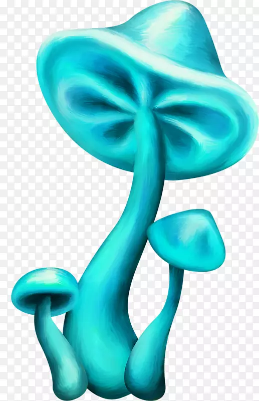 蘑菇蓝燕麦-木瓜木耳素描-蘑菇