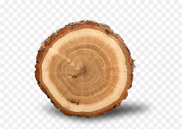 木材版税.免费摄影.树环