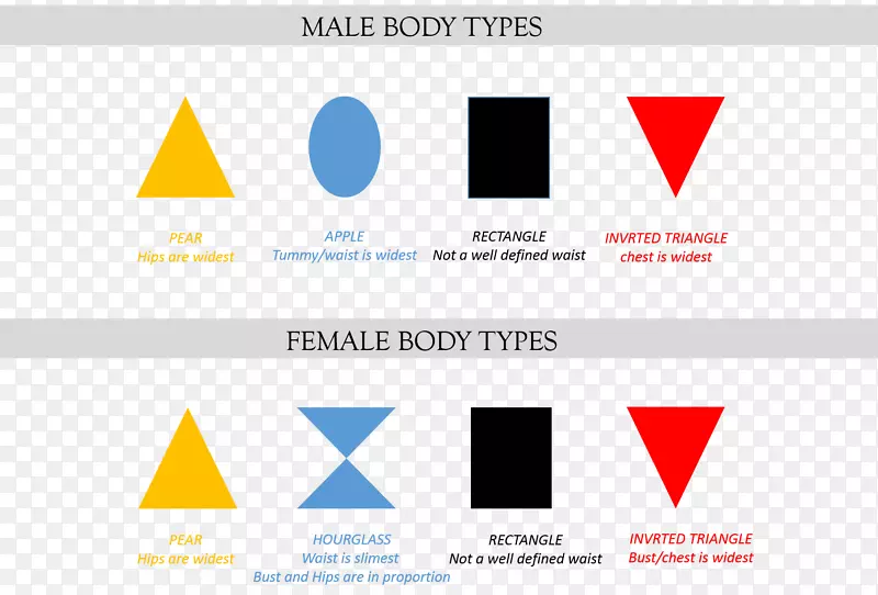 女性体型、人体标志、人体外形、女性-人
