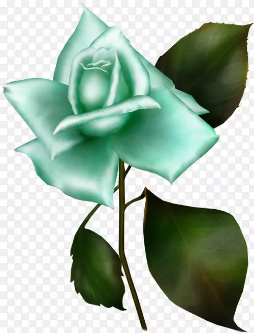 花园玫瑰剪贴画格温丁尼森格温10png图片-蓝色玫瑰剪贴画