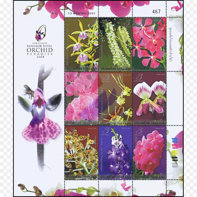 泰国邮票花卉设计微型版兰花-令人惊叹的泰国