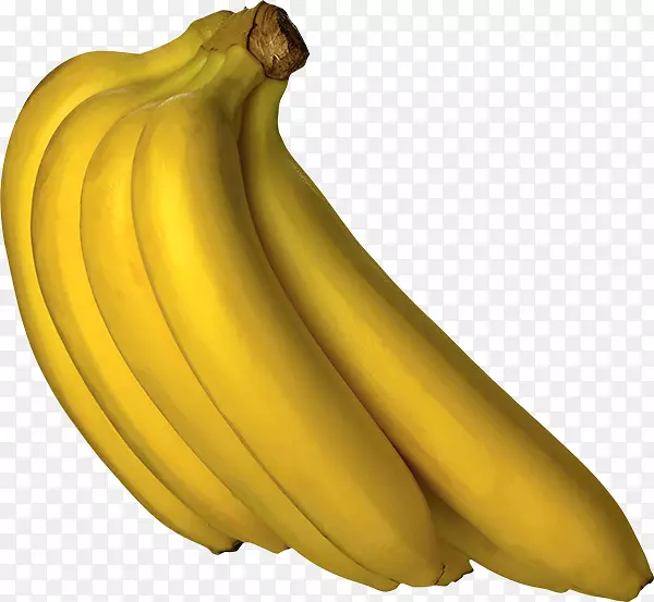 香蕉面包萨巴香蕉夹艺术女士手指香蕉-香蕉动画