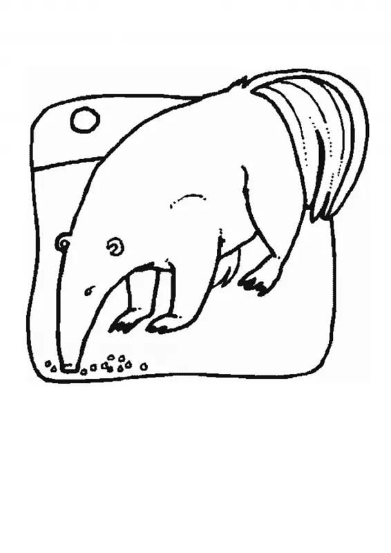 大食蚁兽北塔曼杜阿着色书犀牛-动物园动物图片