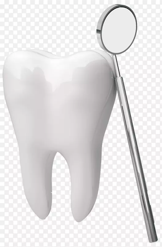 人类牙齿家庭及美容牙科中心牙科复合.牙齿的牙科解剖