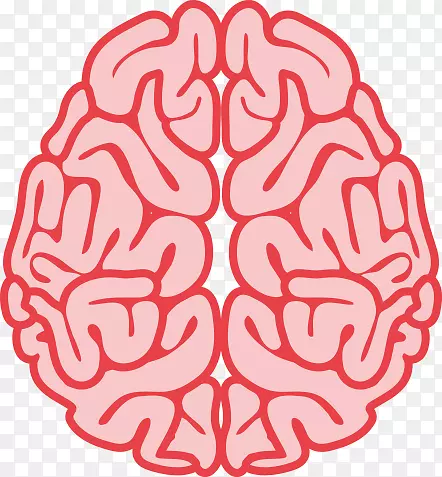创伤性脑损伤神经科学-脑
