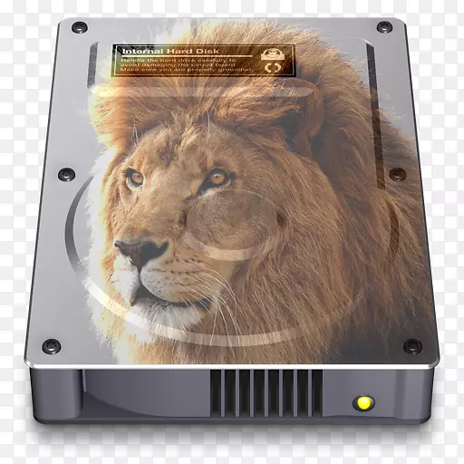 东非狮子科摄影Macintosh-HD狮子