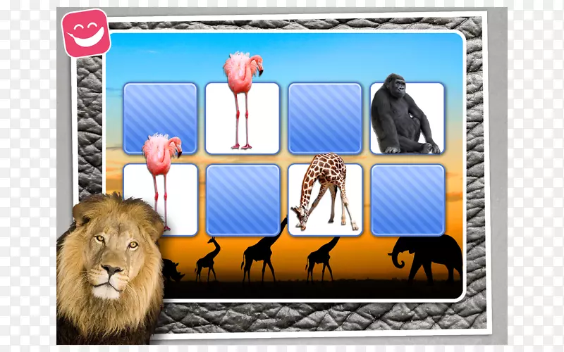 神的镜子领袖版非洲动物园画框-非洲