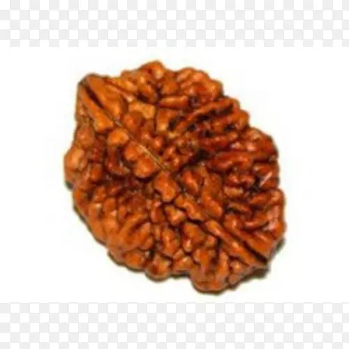 Rudraksha Mahadeva Parvati印度尼泊尔语-印度