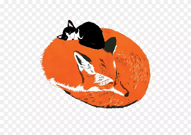 剪贴画胡须插图鼻子狐狸新闻-猫和狐狸皮诺奇
