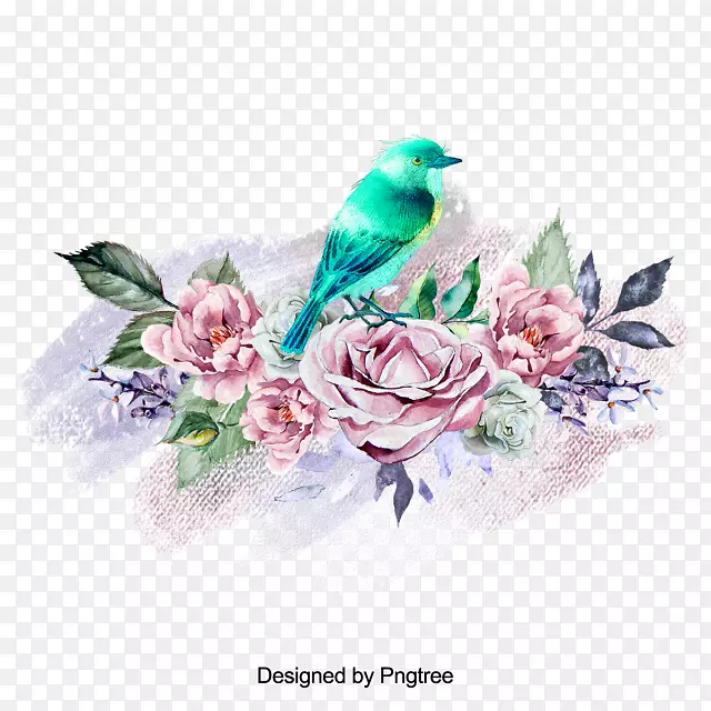 玫瑰科花卉设计插图
