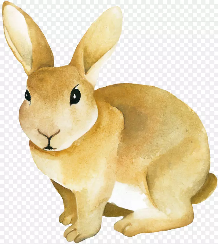水彩画封装的附言png图片海报插图.灰兔