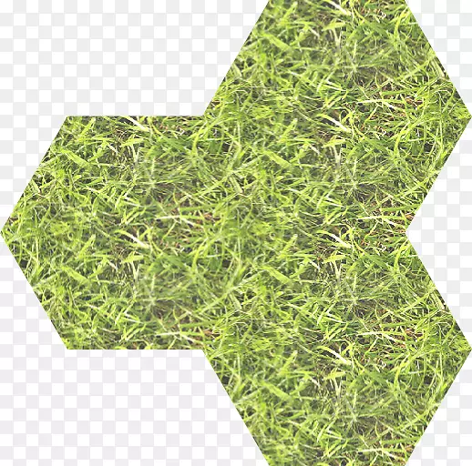 瓷砖绿色六角形长方形无缝瓦