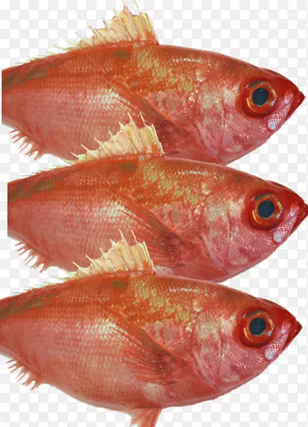 北红笛鲷鱼产品油性鱼类鱼片
