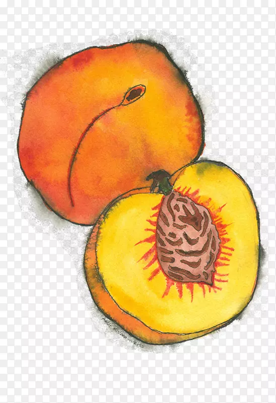 Calabaza冬季南瓜素食图-桃花