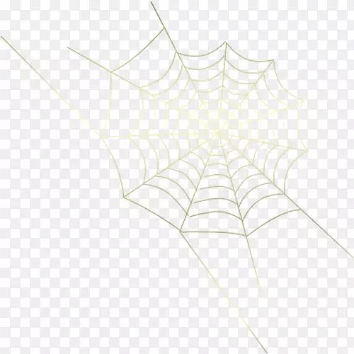 蜘蛛网对称线型-蜘蛛