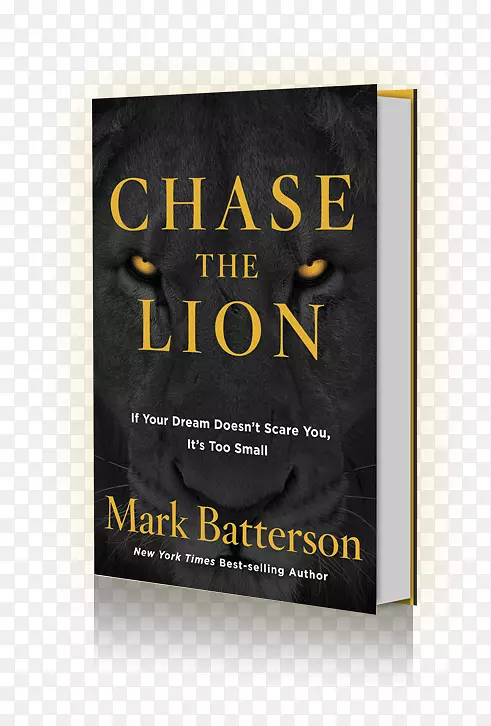 追逐狮子：如果你的梦想没有吓到你，那就是太小的书，平装版产品-女神梦