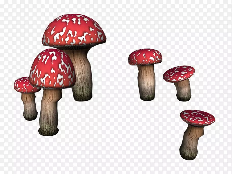 蘑菇产品设计-人粪-蘑菇