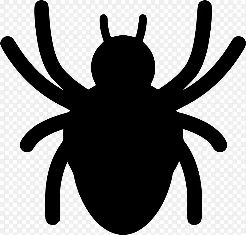 剪贴画蜘蛛网电脑图标昆虫蜘蛛