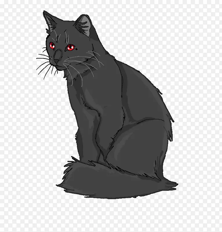 科拉特黑猫胡须家养短毛猫狗