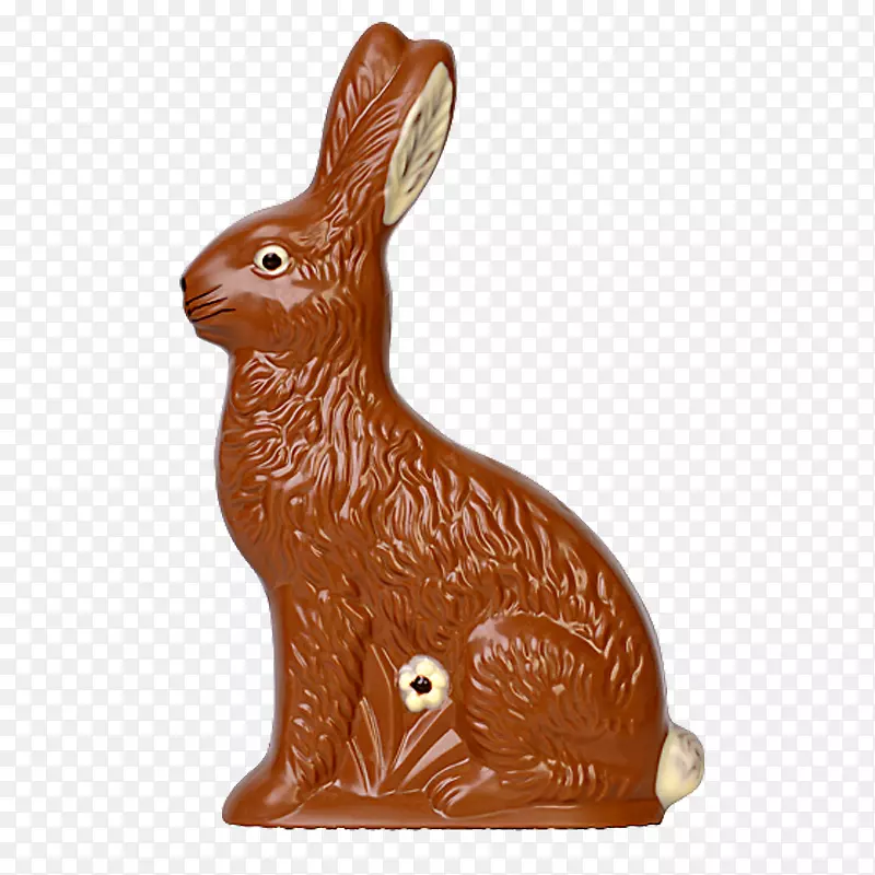 家养兔-巧克力流