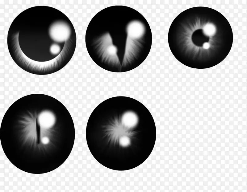 黑眼圈视网膜图像瞳孔