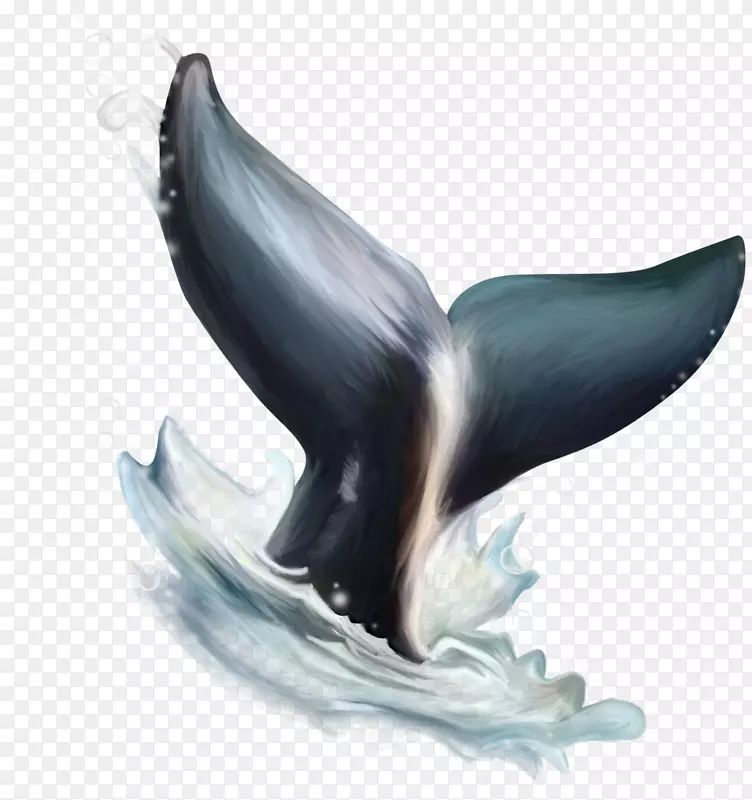 海豚雕像喙海豚