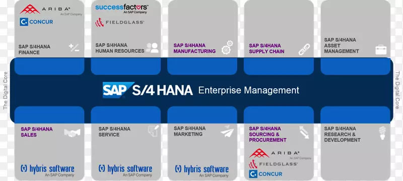 SAP s/4 HANA sap Hana sap se sap业务套件-天然传单图像
