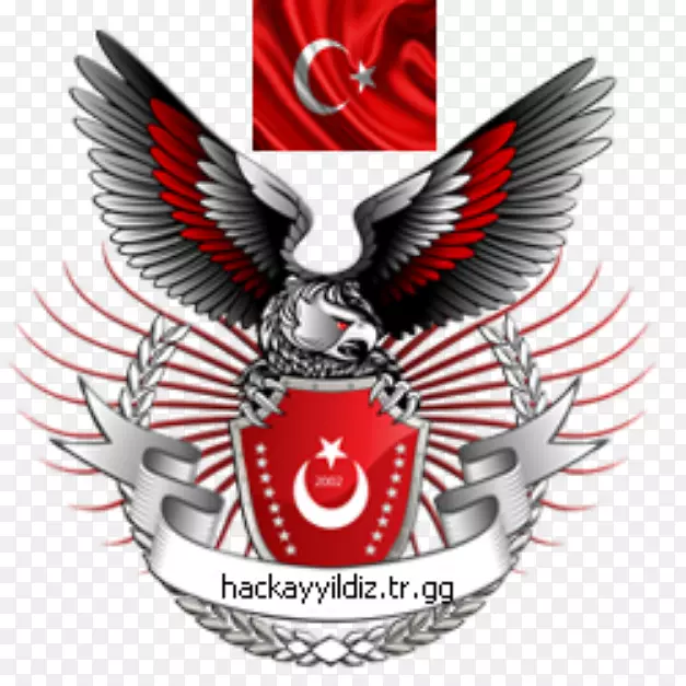 土耳其Ayyildiz小组安全黑客匿名