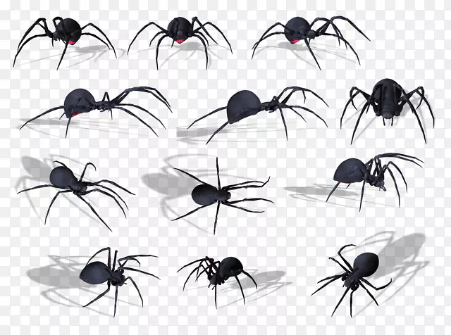 蜘蛛png图片剪辑艺术土坯影象蜘蛛