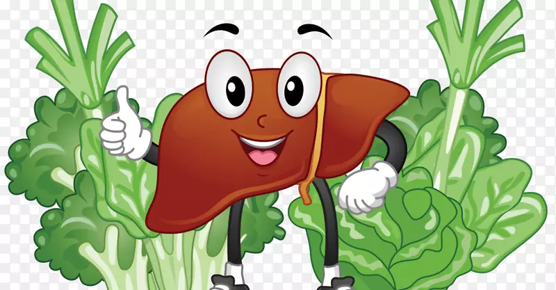 剪贴画肝脏插图食物图像-肝脏卡通