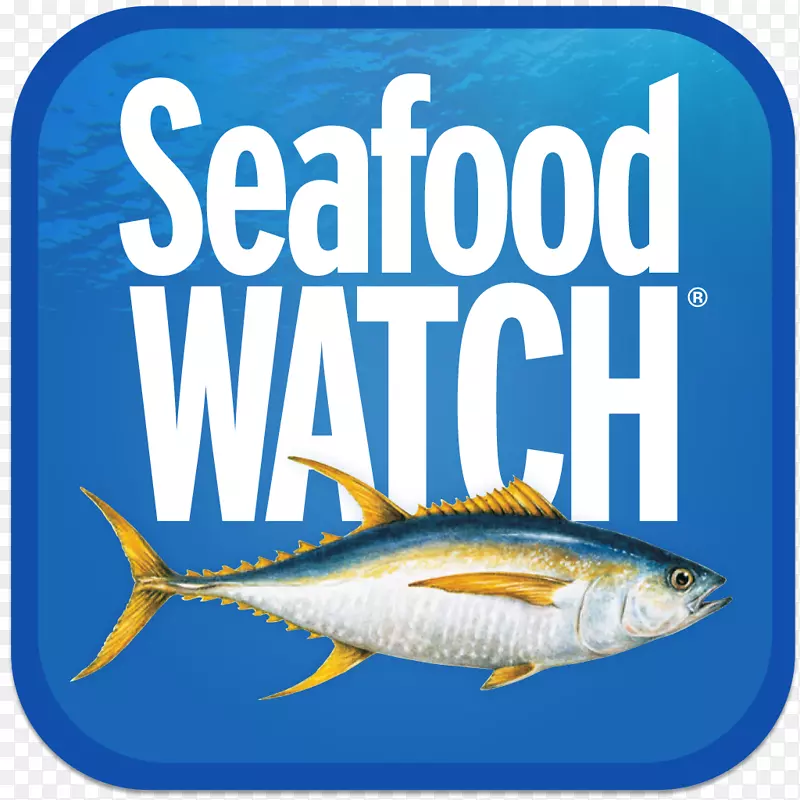 沙丁鱼产品海鲜海洋生物水-水