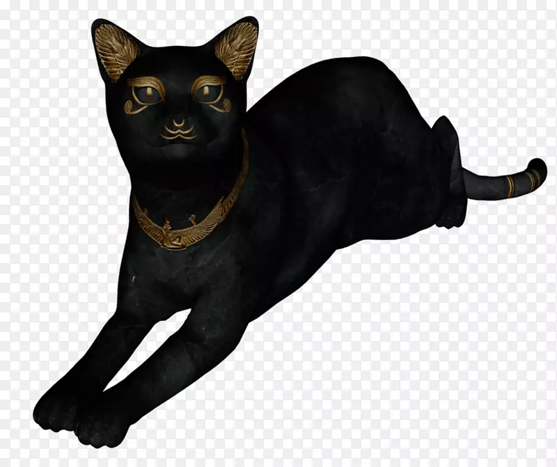 黑猫孟买猫马来亚猫哈瓦那棕色埃及猫