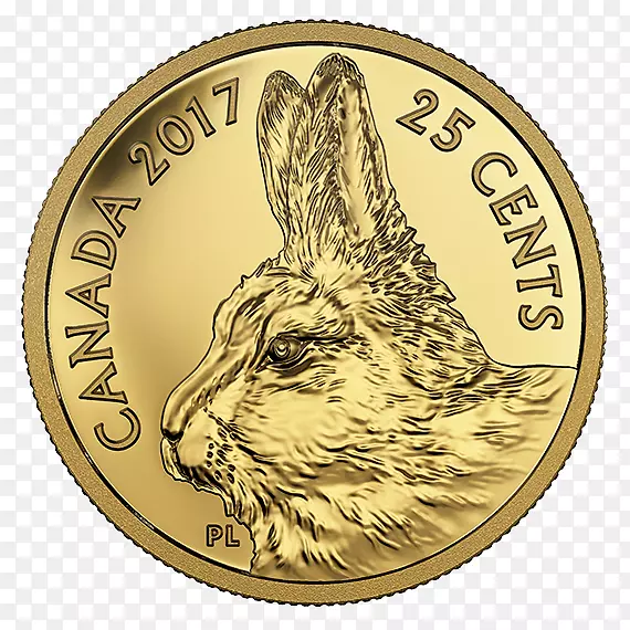 加拿大金币皇家加拿大铸币