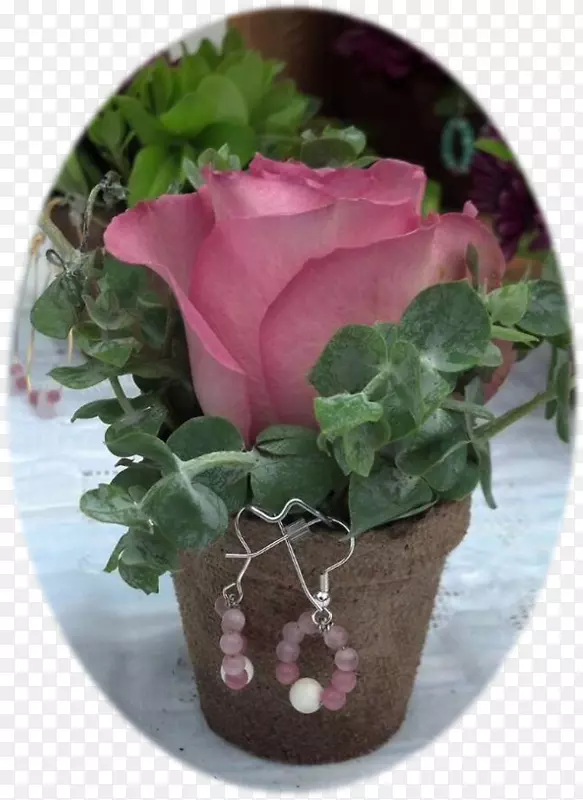 花园玫瑰，小花盆，卷心菜，玫瑰，富勒顿花卉设计-花盆