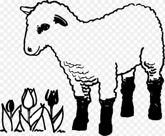 羊色书页着色书羊肉羊